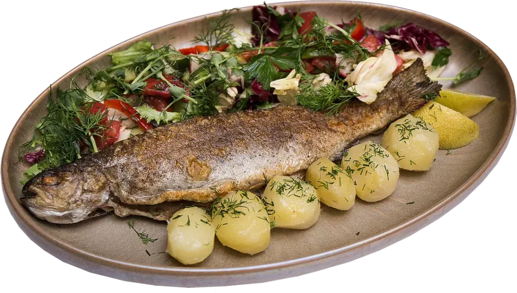 Trout from Ojców